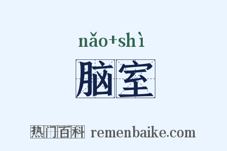 脑室是什么意思的图片